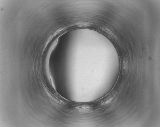 X0000058120492200510212024