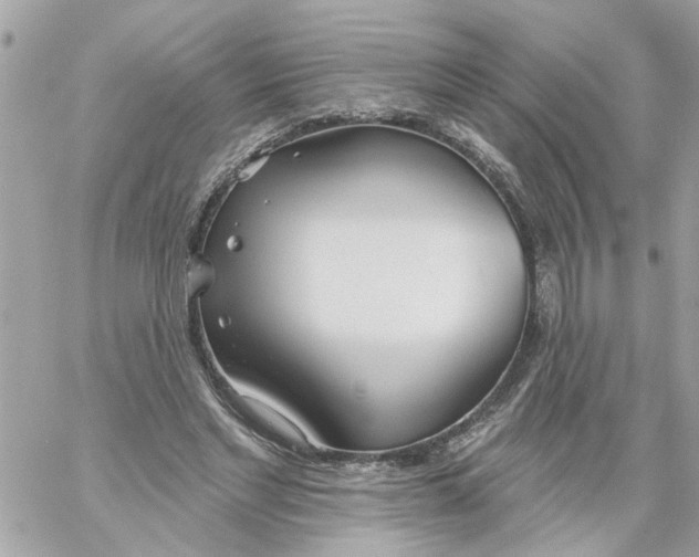 X0000058120493200510212024