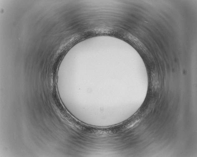 X0000058120494200510212024