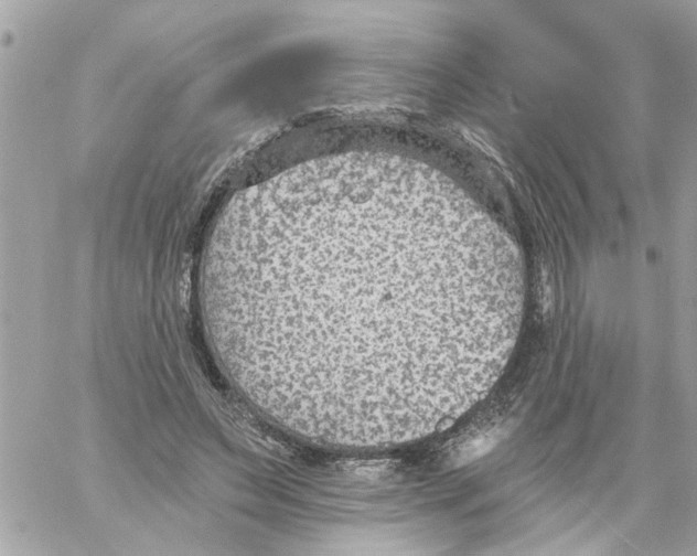 X0000058120495200510212024