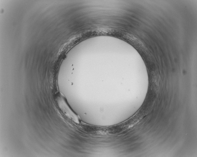 X0000058120496200510212024