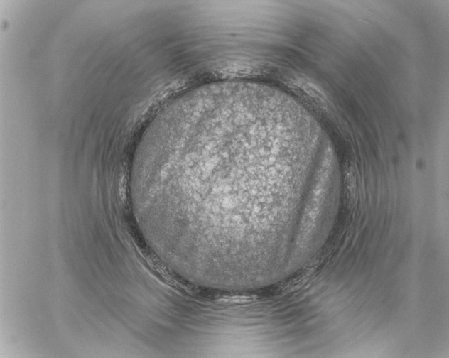 X0000058120499200510212024