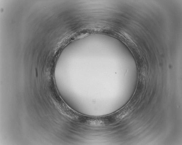 X0000058120500200510212024