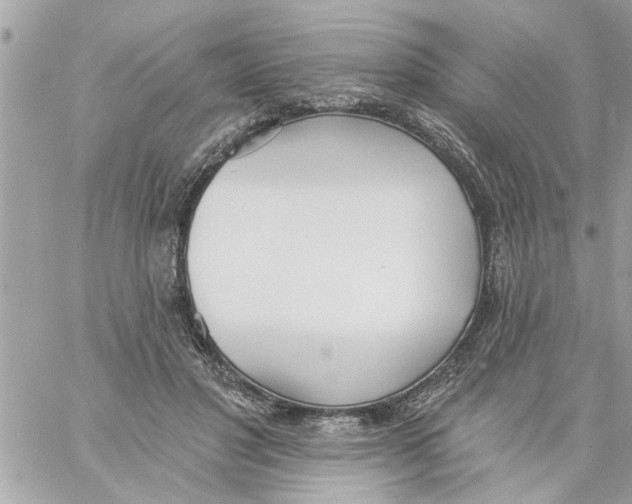 X0000058120501200510212024