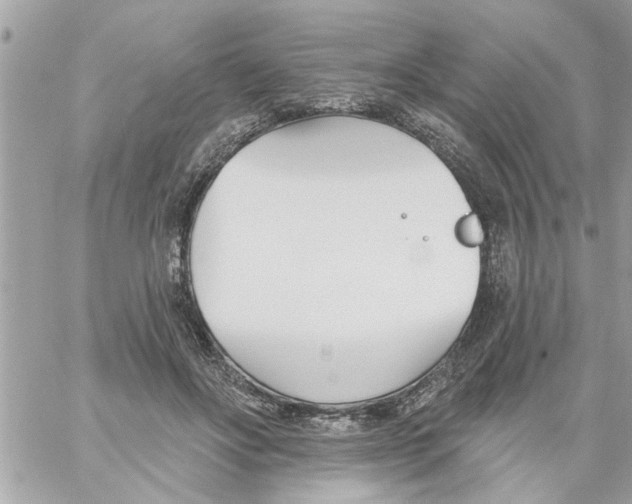 X0000058120502200510212024