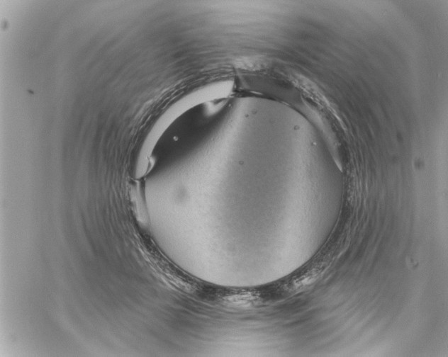 X0000058120505200510212024