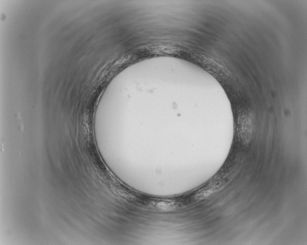 X0000058120506200510212024