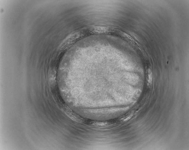 X0000058120507200510212024