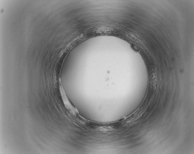 X0000058120508200510212024