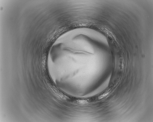 X0000058120509200510212024