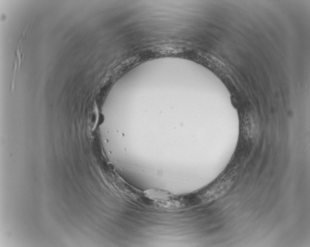 X0000058120512200510212024