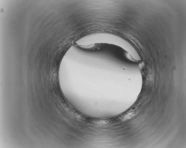 X0000058120513200510212024