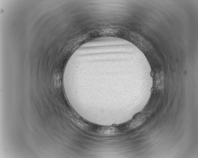 X0000058120514200510212024