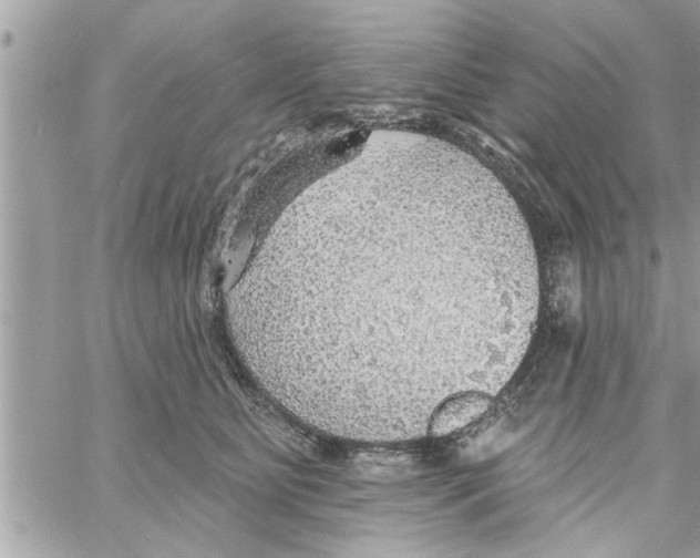 X0000058120515200510212024