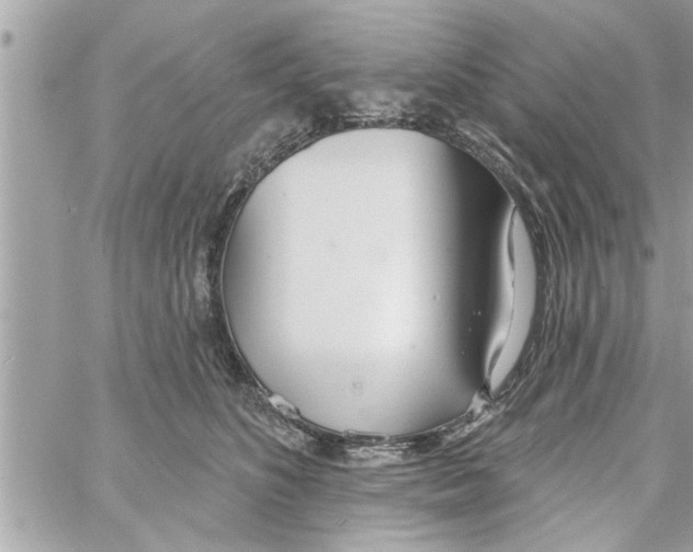 X0000058120516200510212024