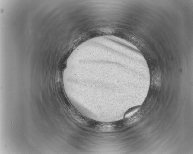 X0000058120518200510212024