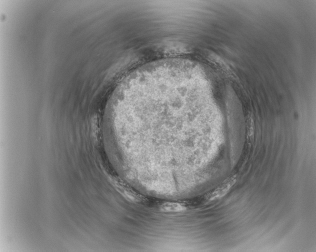 X0000058120519200510212024