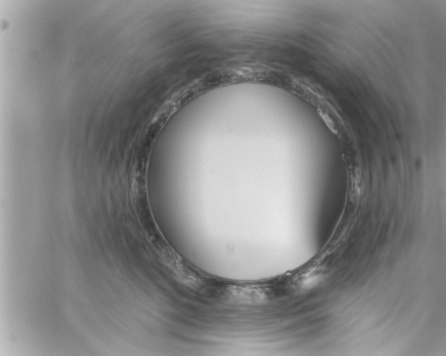 X0000058120520200510212024