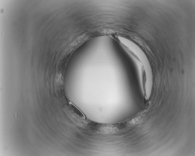 X0000058120521200510212023