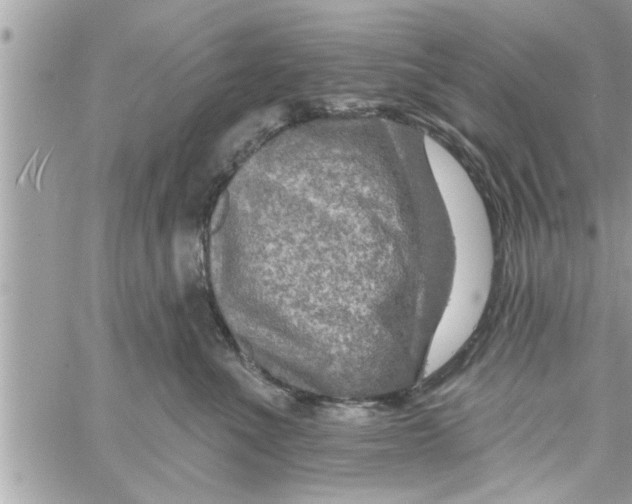 X0000058120523200510212023