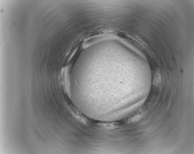 X0000058120524200510212023