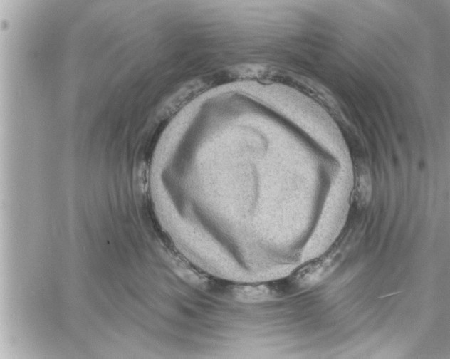 X0000058120525200510212023