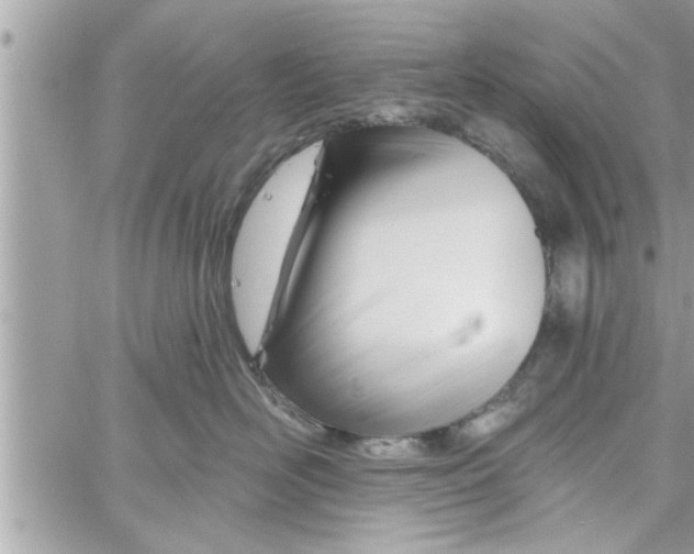 X0000058120526200510212023