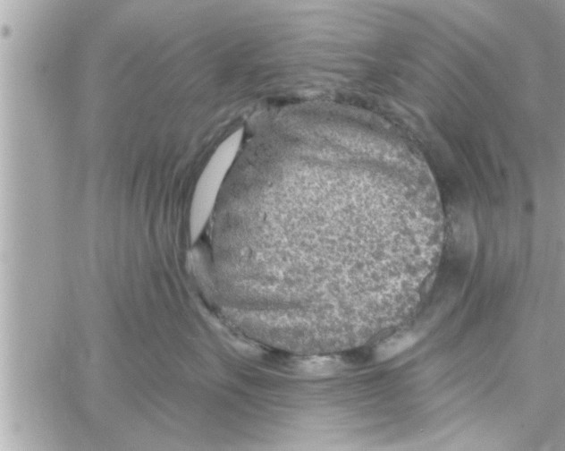 X0000058120527200510212023