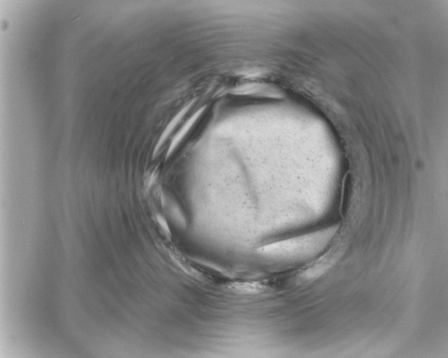 X0000058120528200510212023