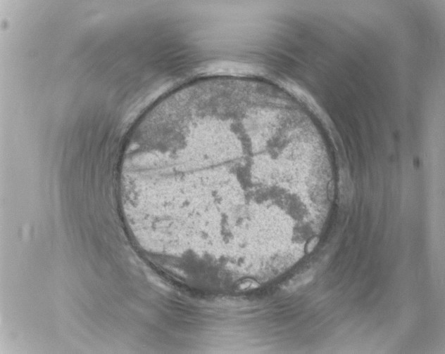 X0000058120529200510212023