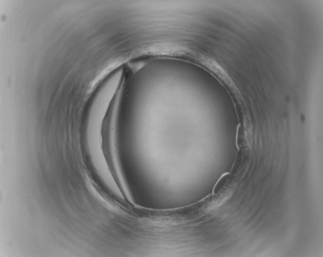 X0000058120530200510212023