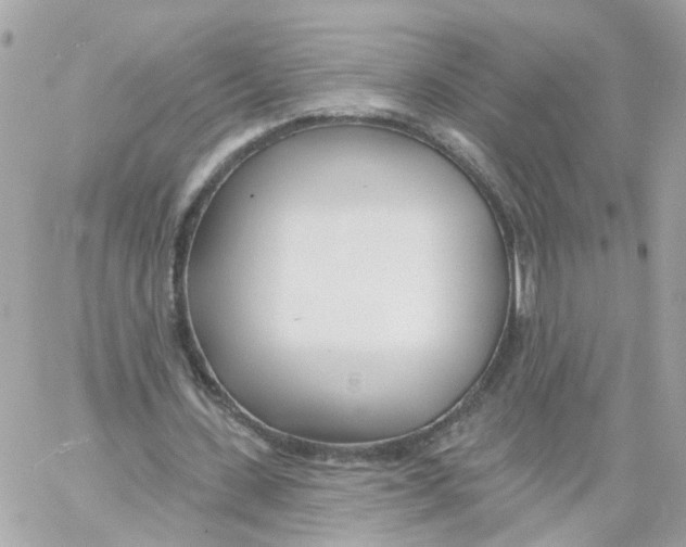 X0000058120531200510212023