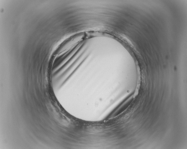 X0000058120532200510212023