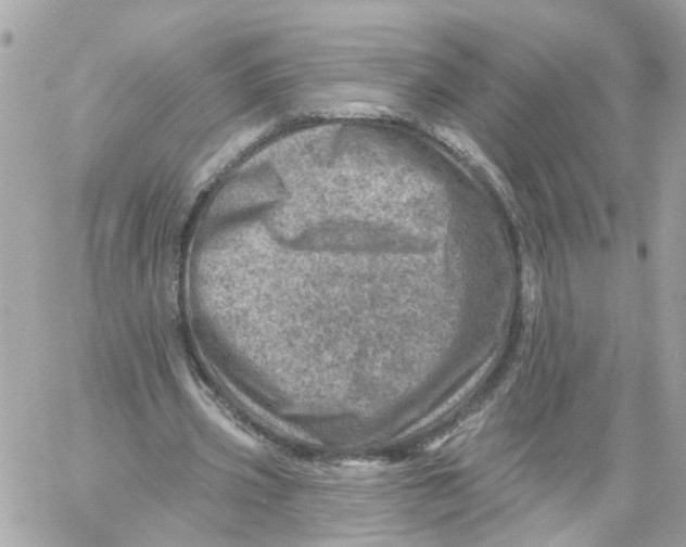 X0000058120533200510212023