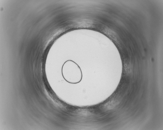 X0000058120534200510212023