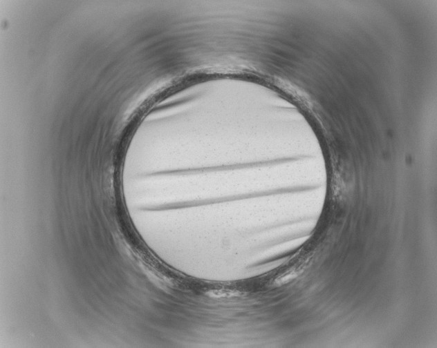 X0000058120535200510212023