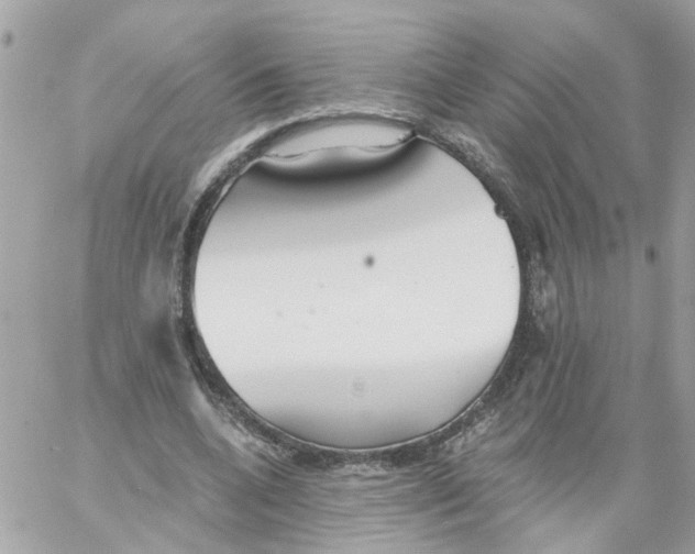 X0000058120536200510212023