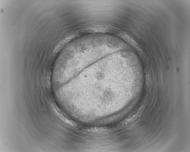 X0000058120537200510212023