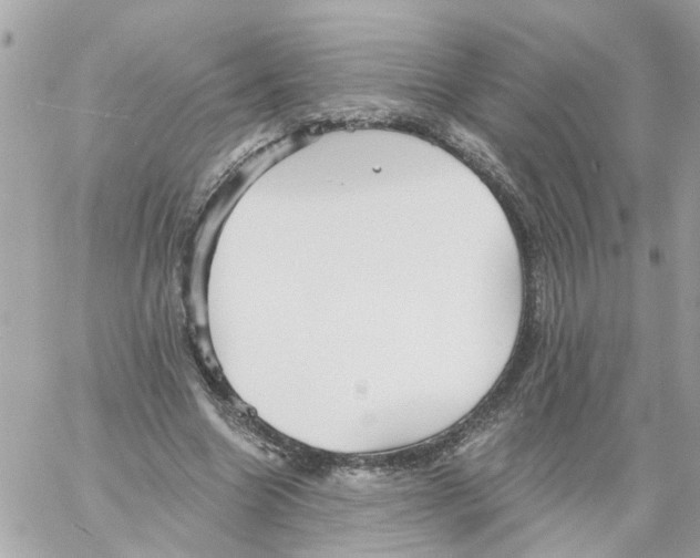 X0000058120538200510212023