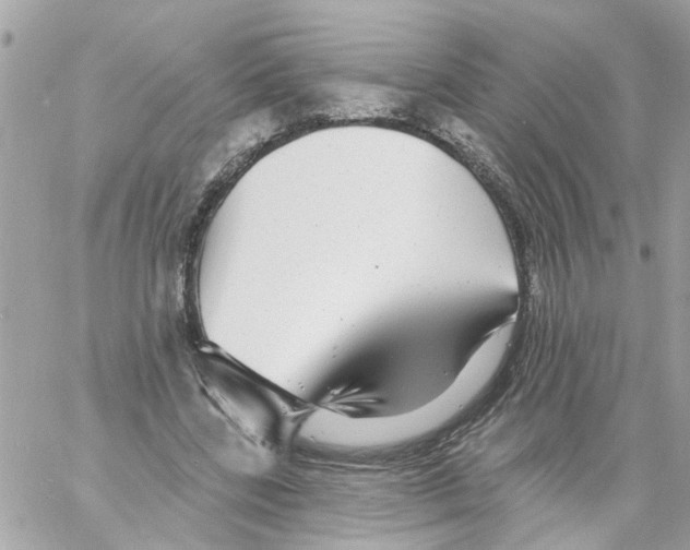 X0000058120539200510212023