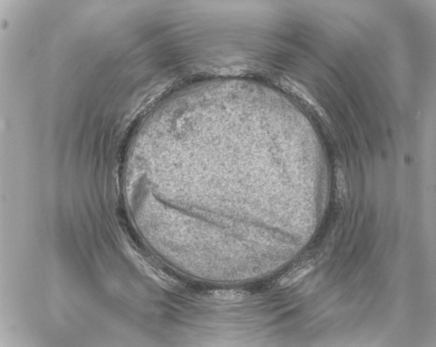 X0000058120541200510212023