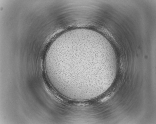 X0000058120542200510212023