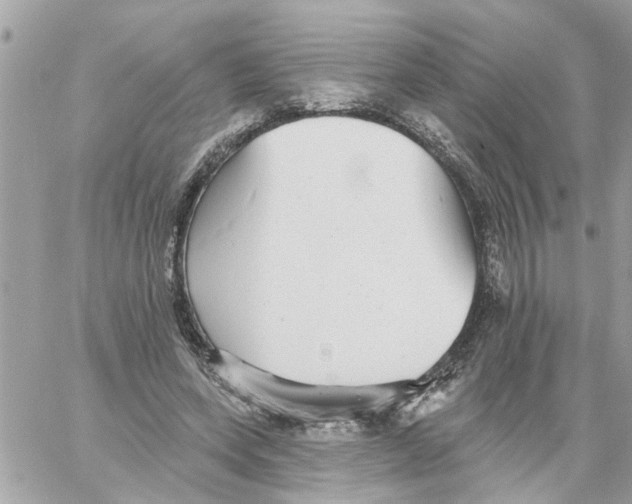 X0000058120543200510212023