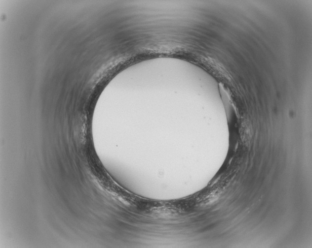 X0000058120544200510212023