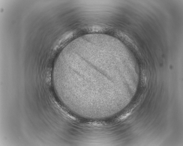 X0000058120545200510212023