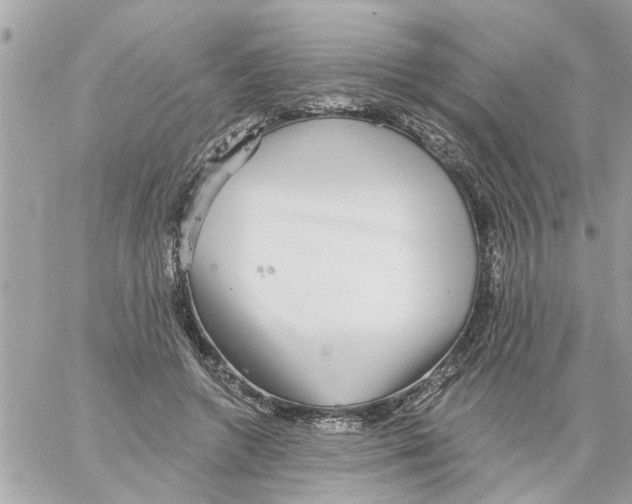 X0000058120546200510212023