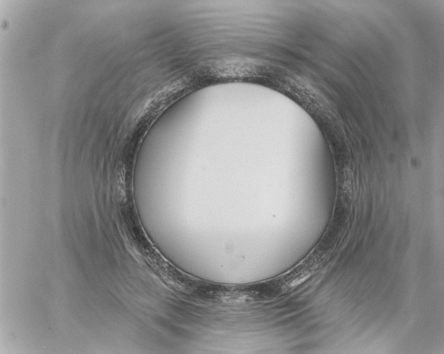 X0000058120547200510212023