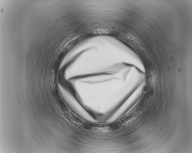 X0000058120548200510212023