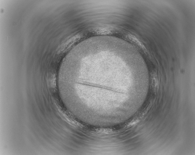 X0000058120549200510212023