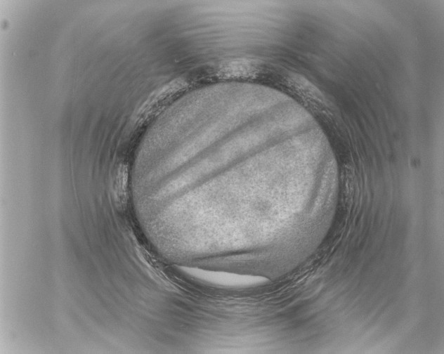 X0000058120550200510212023